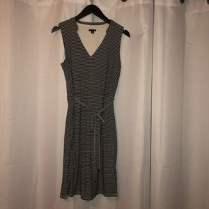 Ann Taylor Dress